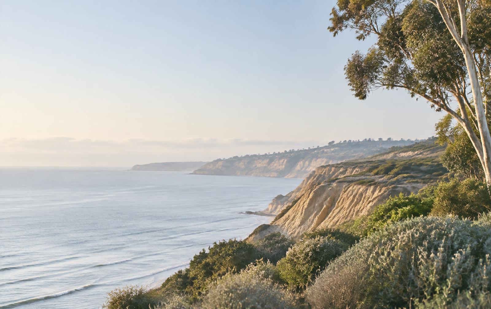 Quiet San Diego coastal bluffs in soft morning light